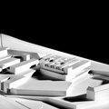 reticulaB4